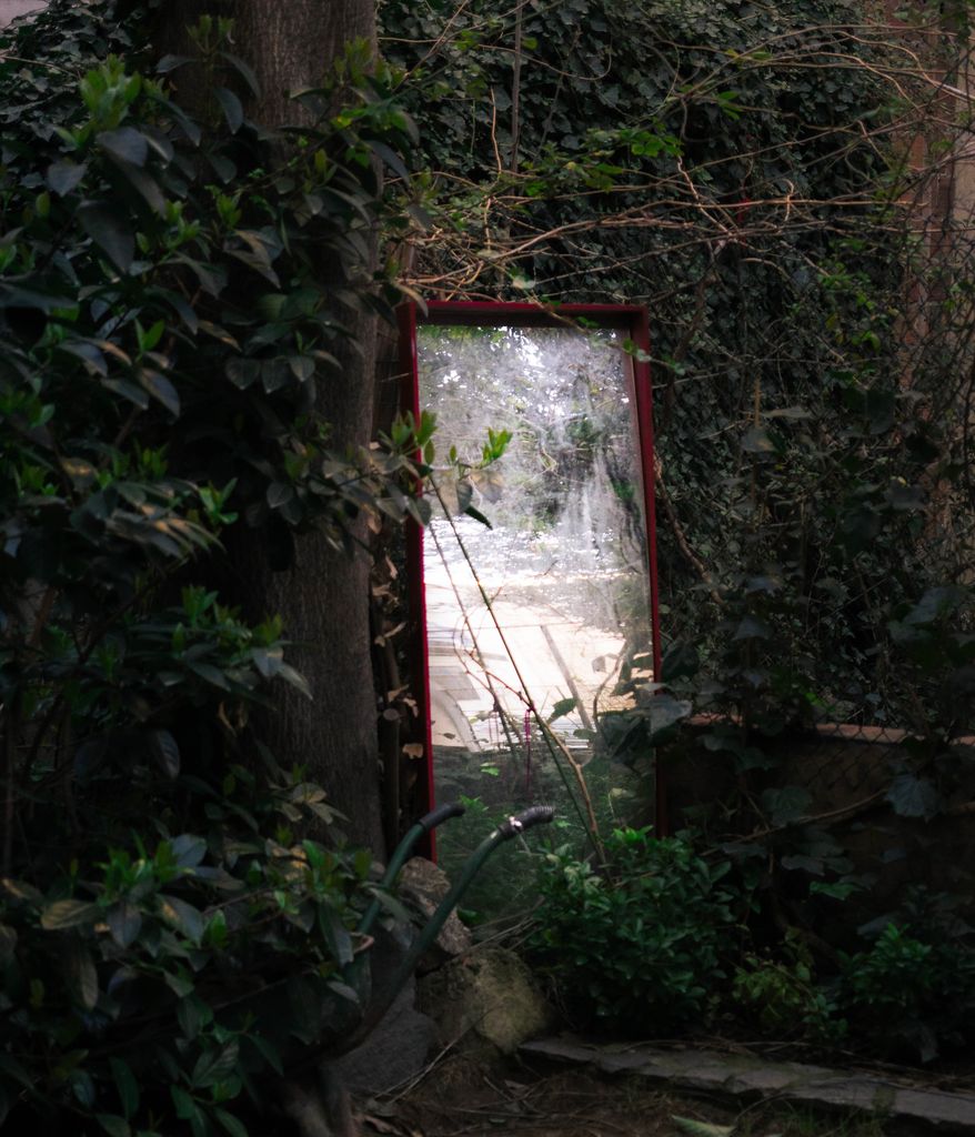 A rustic red-framed mirror reflects light in an overgrown garden, creating a mysterious outdoor ambiance.